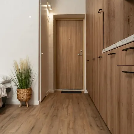 Air 206 Apartment *