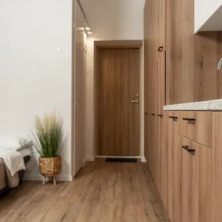 Air 206 Apartamento Vilna