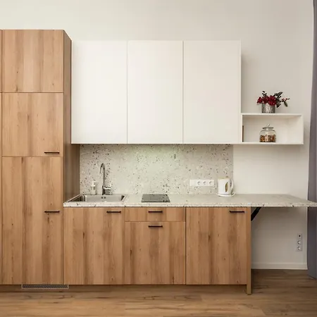 Apartment Air 206